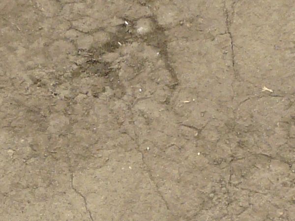 Brown asphalt texture with several small cracks, covered by a fine layer of sandy dirt.